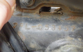 YAMAHA RZ250RR 29L
