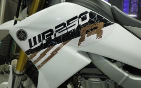 YAMAHA WR250R DG15J