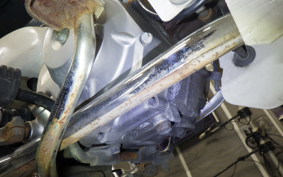 HONDA C50 SUPER CUB 2024 C50