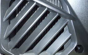 HONDA LEAD 125 2019 JF45