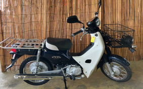 HONDA SUPER CUB50 AA04