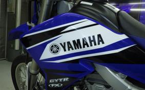 YAMAHA WR250R DG15J