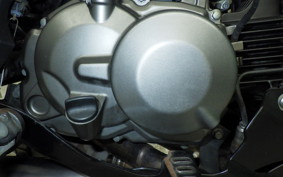 KAWASAKI Z125 PRO 2017 BR125H