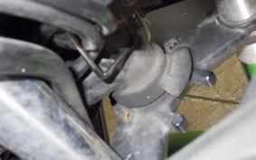 KAWASAKI NINJA 250 EX250L