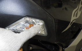 KAWASAKI NINJA 250 EX250P