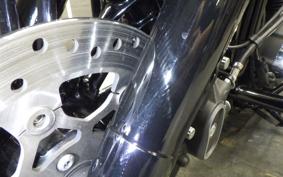 HARLEY XL1200XS 2020