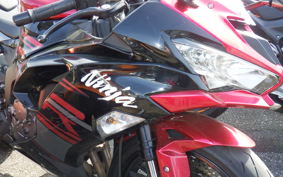 KAWASAKI NINJA ZX-6R A 2019 ZX636G