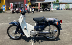 HONDA SUPER CUB50 C50