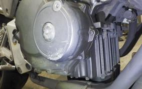 HONDA HORNET 250 MC31
