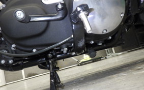 HARLEY XL883N 2016