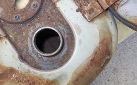 OTHER +RABBIT125 S301