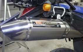 KAWASAKI KLX250D TRACKER 2024 LX250E
