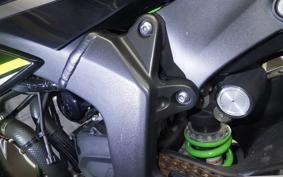 KAWASAKI NINJA ZX-6R A 2019 ZX636G