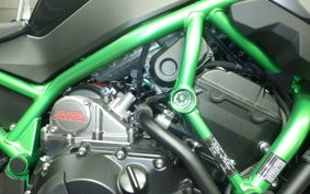 KAWASAKI ZH2 SE 2024