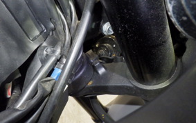 YAMAHA YZF-R25 2025 RG43J