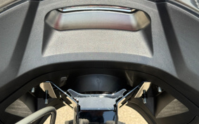 HARLEY FXLRST 2024 YXZ