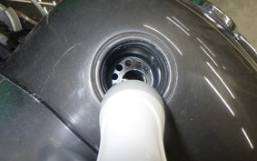 HARLEY FLFB 1750 2019