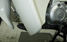 HONDA C110 SUPER CUB 2024 JA59