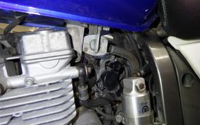 SUZUKI DJEBEL 250 XC 1994 SJ45A