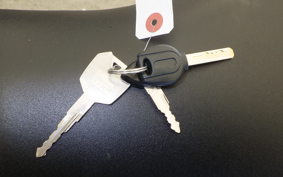 KAWASAKI NINJA 250 2019 EX250L