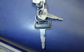 SUZUKI GSX-R250 2008 GJ72A