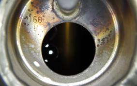 HARLEY XL883N 2021