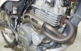 HONDA XLR250 BAJA MD22