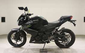 KAWASAKI Z250 2022 ER250C