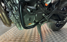 KTM 790 DUKE 2019 TU640