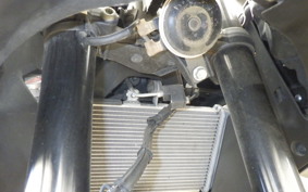 YAMAHA YZF-R25 A RG43J
