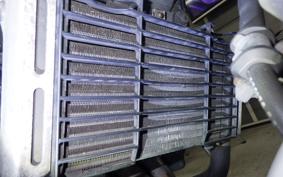 HONDA HORNET 250 1999 MC31