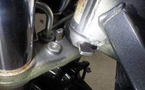 HONDA HORNET 250 2010 MC31
