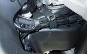 DUCATI MULTISTRADA V4S 2025