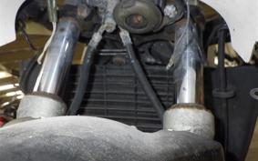 YAMAHA FZR250 Gen.2 R 2009 3LN