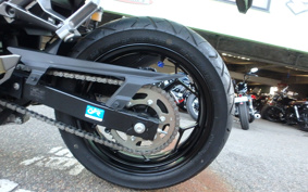 KAWASAKI NINJA 250 EX250L