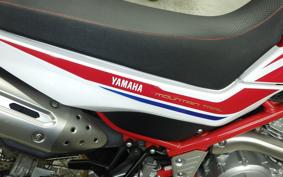 YAMAHA SEROW 250 Gen.3 2008 DG31J