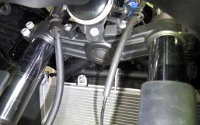 KAWASAKI NINJA 650 A 2025 ER650S