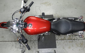 OTHER +HD. XL1200C-I 2013