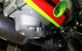 KAWASAKI NINJA 250 2 2019 EX250Y
