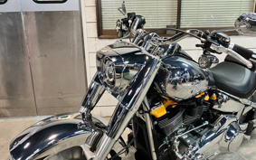 HARLEY FLSTFI 2025 BD9