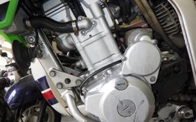 KAWASAKI KLX250 Gen.2 LX250S