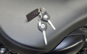 OTHER +ENFIELD ﾒﾃｵ350 2024