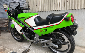 KAWASAKI KR250 KR250A