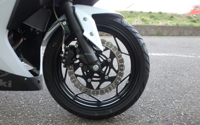 KAWASAKI NINJA 250 EX250L