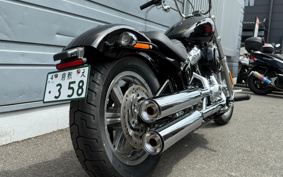HARLEY FXST1340-1450 2025 BVJ