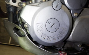 KAWASAKI SUPER SHERPA 2007 KL250G