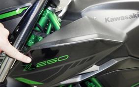 KAWASAKI Z250 Gen.2 2008 EX250Y