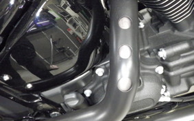 HARLEY FXLRST1920 2024