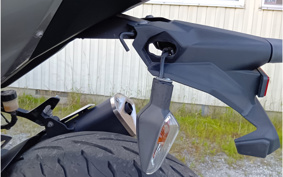 KAWASAKI NINJA 250 EX250P