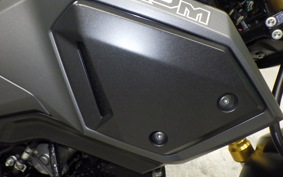 HONDA ｸﾞﾛﾑ 2019 JC75